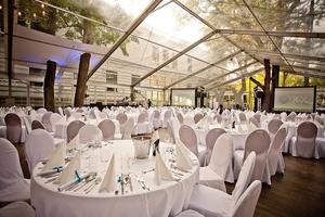 B0a8d1052165c2f72290977c5897559519b9ccfb