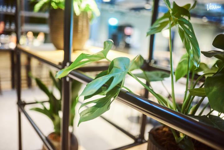 A59d6e42419bba1e5397305b85f4a4d8b886cf3b