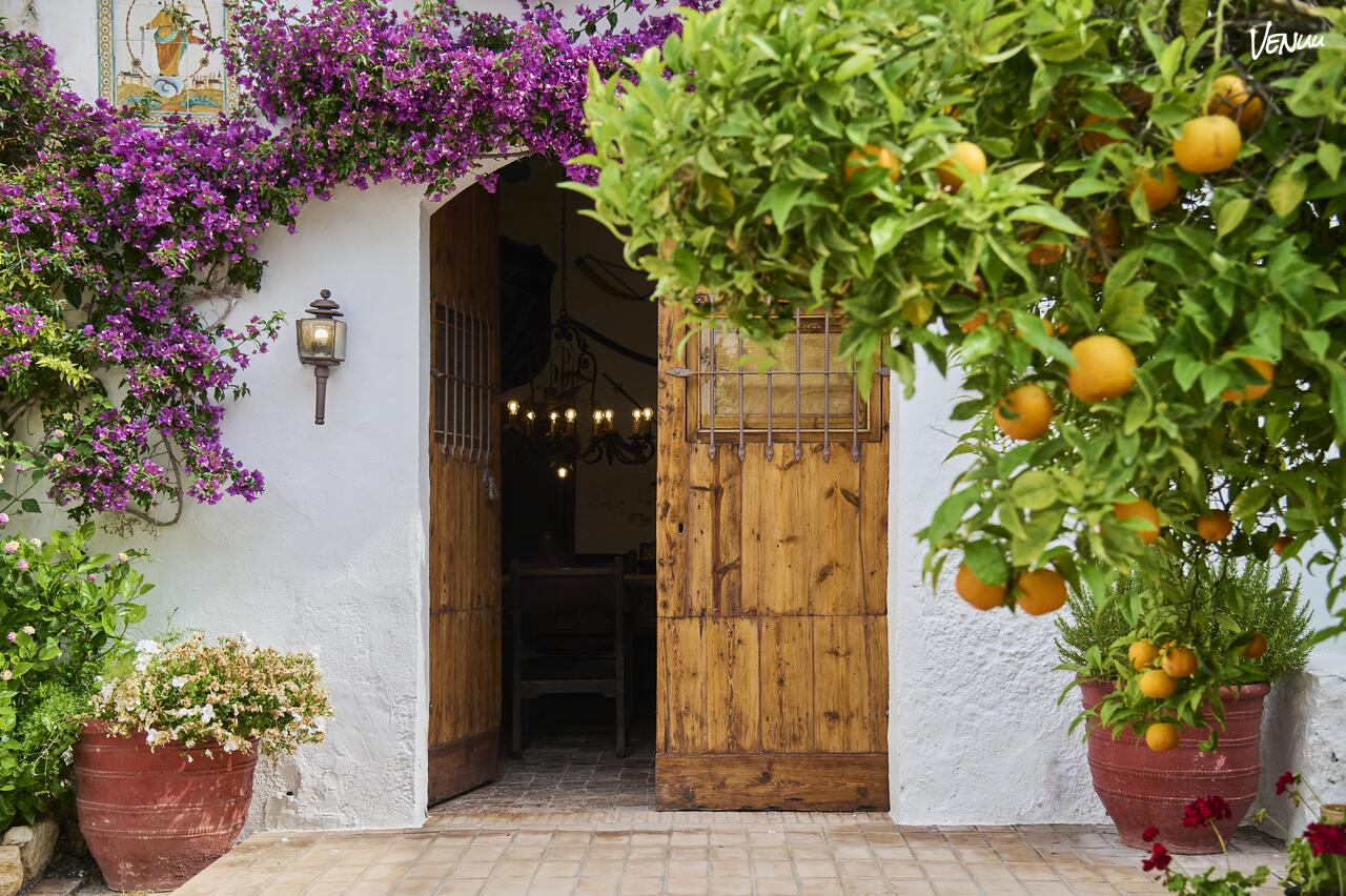 Masia Blanca / El Patio del Naranjo Reserva para tu